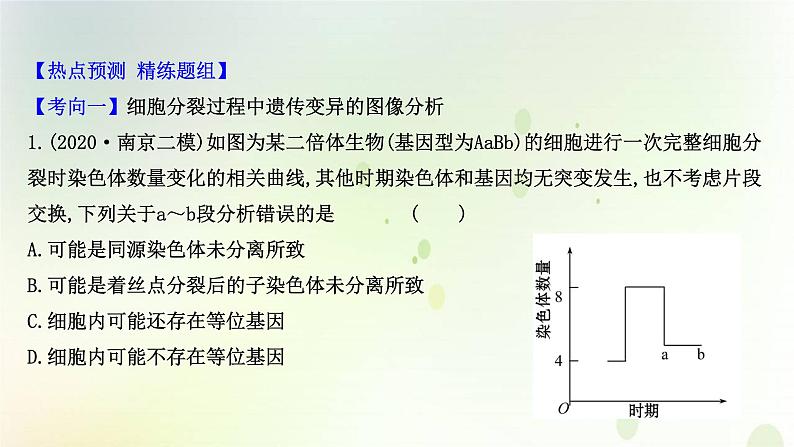 江苏专版2021届高考生物二轮复习核心素养串讲课2科学思维之细胞增殖与变异的关系课件07