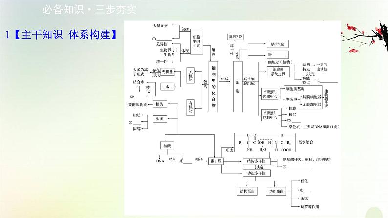 江苏专版2021届高考生物二轮复习专题1细胞的分子组成和结构课件第2页