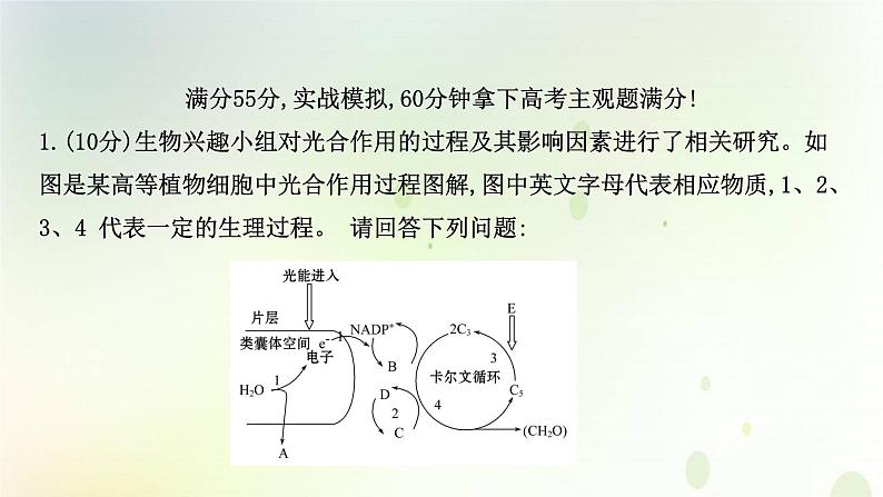 江苏专版2021届高考生物二轮复习非选择题专项练六课件第2页