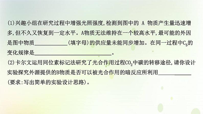 江苏专版2021届高考生物二轮复习非选择题专项练六课件第3页