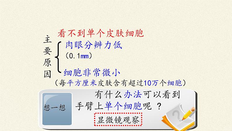 细胞是生命的单位PPT课件免费下载04