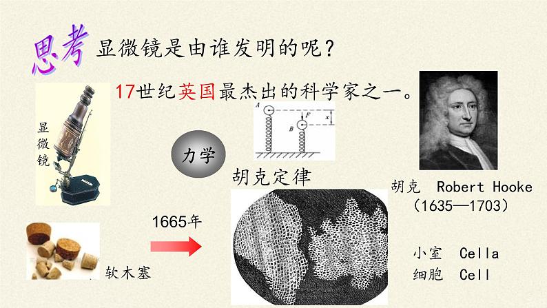 细胞是生命的单位PPT课件免费下载05