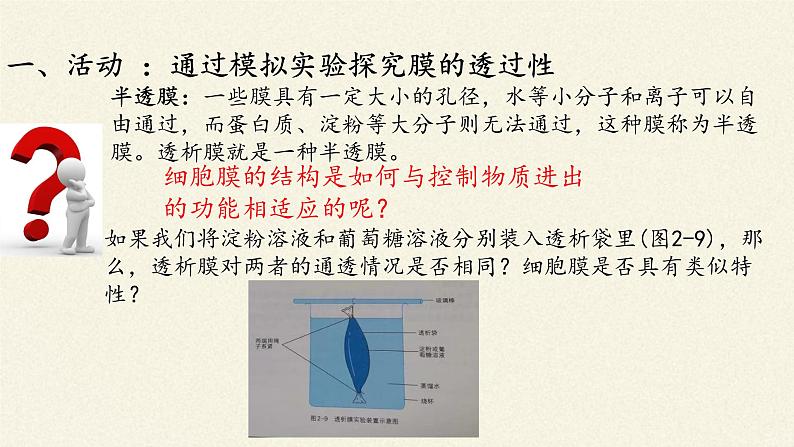 高中生物浙科版（2019）必修一2.2细胞膜控制细胞与周围环境的联系 课件03