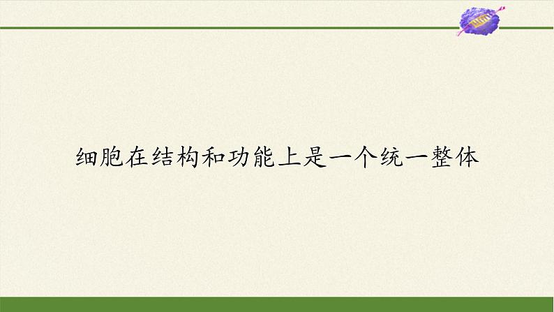 细胞在结构和功能上是一个统一整体PPT课件免费下载01