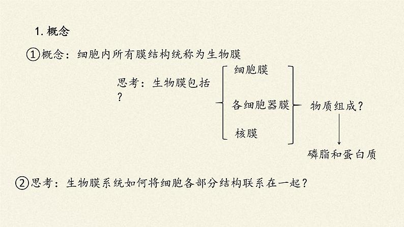 细胞在结构和功能上是一个统一整体PPT课件免费下载05