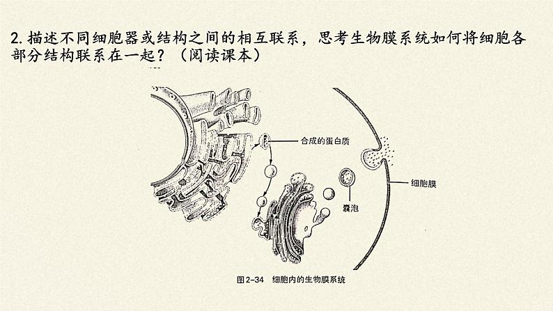 细胞在结构和功能上是一个统一整体PPT课件免费下载06