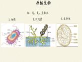 高中生物浙科版（2019）必修一2.6原核细胞内无成形的细胞核 课件
