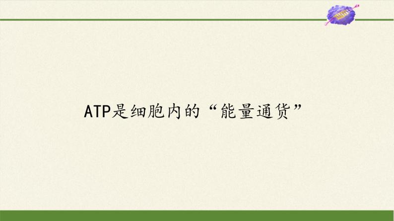 ATP是细胞内的“能量通货”PPT课件免费下载01