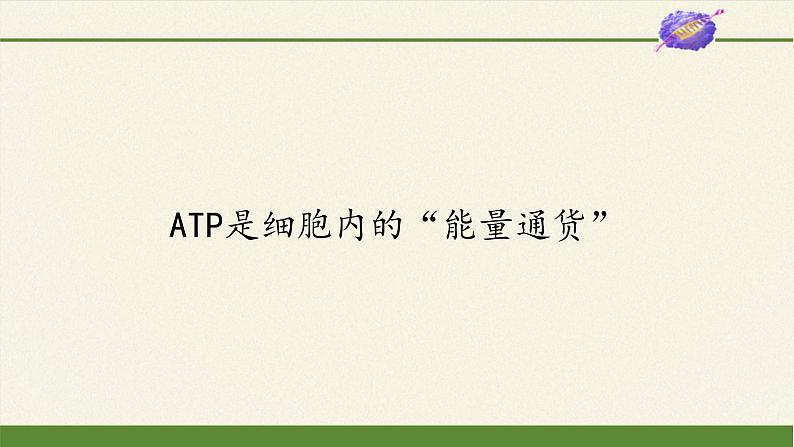 ATP是细胞内的“能量通货”PPT课件免费下载01