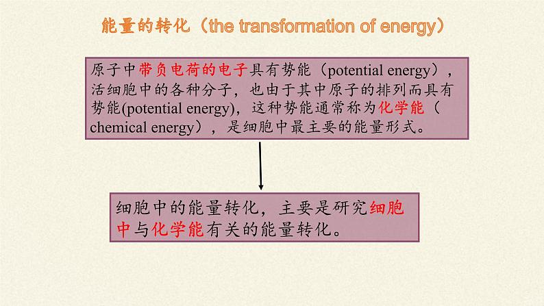 ATP是细胞内的“能量通货”PPT课件免费下载04