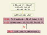 ATP是细胞内的“能量通货”PPT课件免费下载