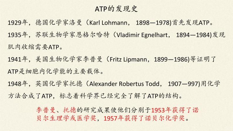 ATP是细胞内的“能量通货”PPT课件免费下载08