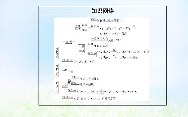 2022届新教材高考生物一轮复习专题四细胞代谢课件第3页