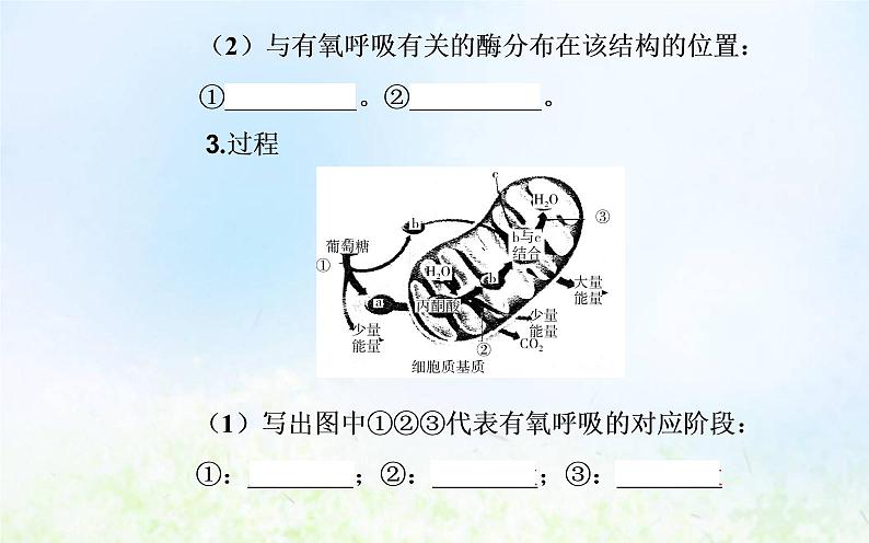 2022届新教材高考生物一轮复习专题四细胞代谢课件第6页