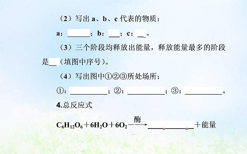 2022届新教材高考生物一轮复习专题四细胞代谢课件第7页