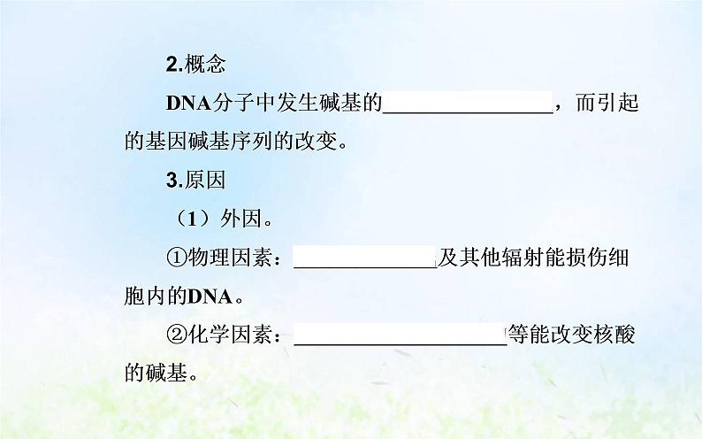 2022届新教材高考生物一轮复习专题十基因突变及其他变异课件第5页