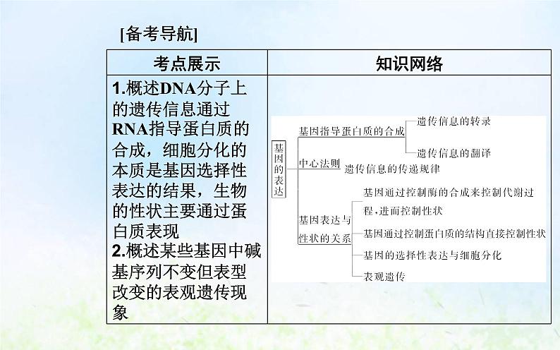 2022届新教材高考生物一轮复习专题八基因的表达课件第2页