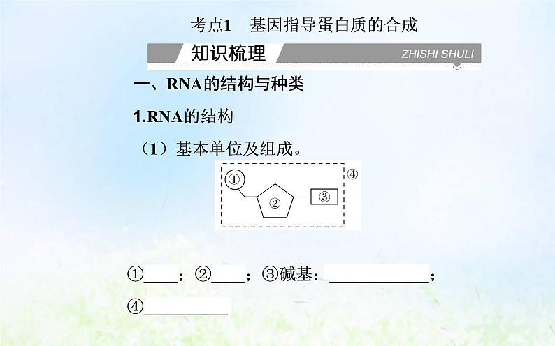 2022届新教材高考生物一轮复习专题八基因的表达课件第3页