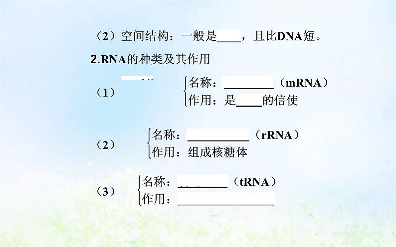 2022届新教材高考生物一轮复习专题八基因的表达课件第4页