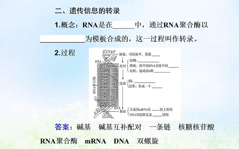 2022届新教材高考生物一轮复习专题八基因的表达课件第5页