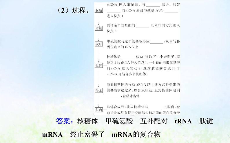 2022届新教材高考生物一轮复习专题八基因的表达课件第7页