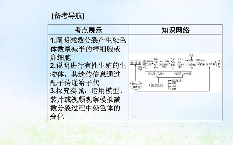 2022届新教材高考生物一轮复习专题六遗传的细胞基础课件第2页