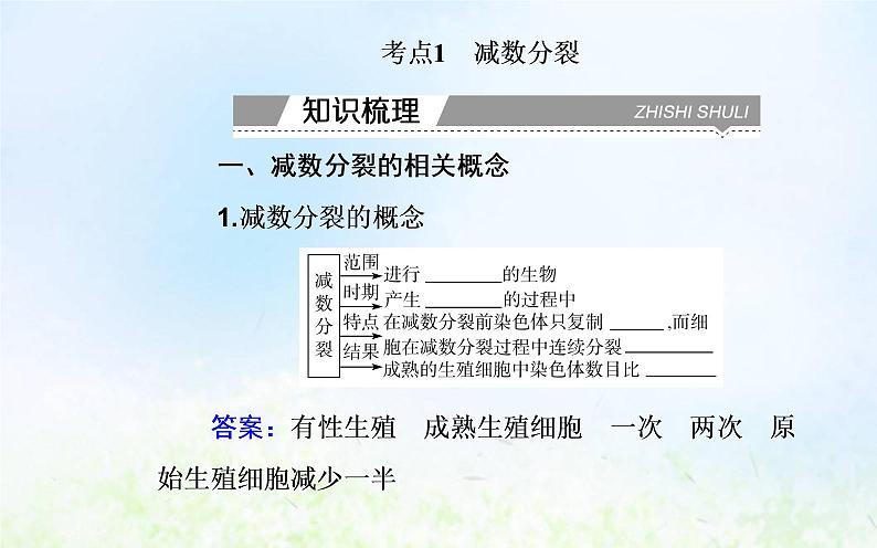 2022届新教材高考生物一轮复习专题六遗传的细胞基础课件第3页