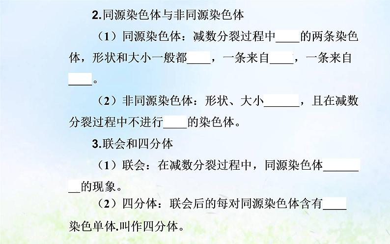 2022届新教材高考生物一轮复习专题六遗传的细胞基础课件第4页