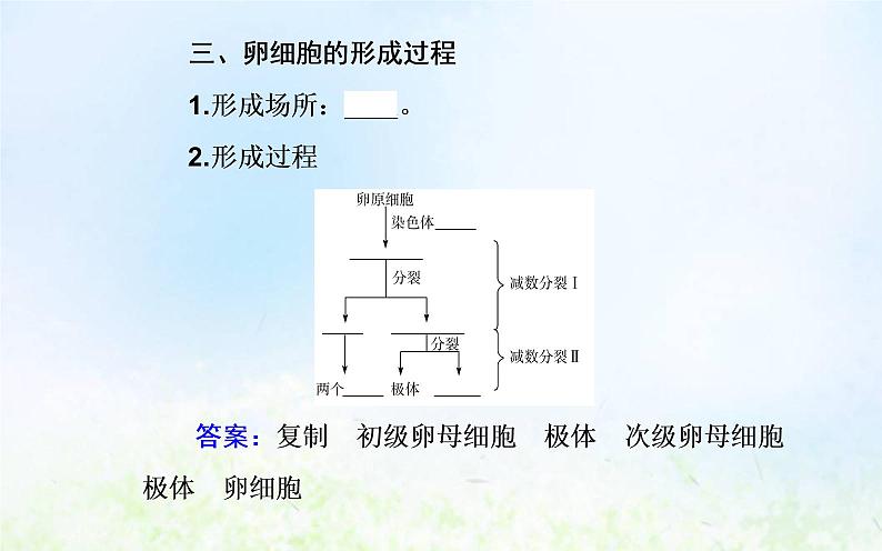 2022届新教材高考生物一轮复习专题六遗传的细胞基础课件第7页