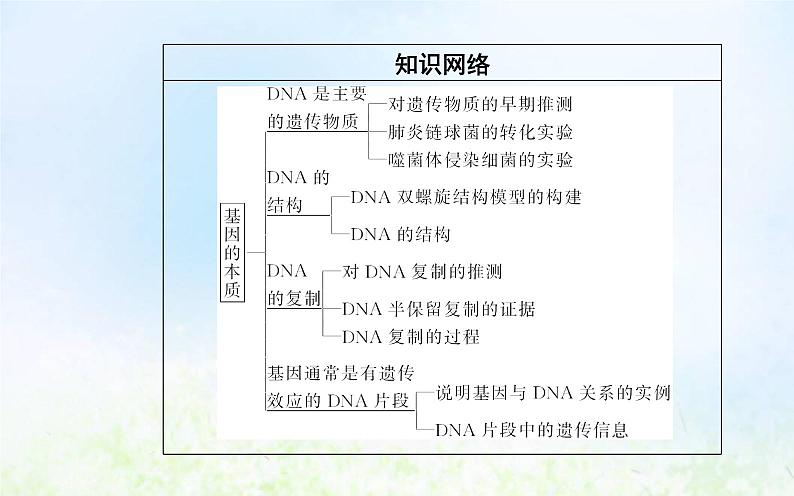 2022届新教材高考生物一轮复习专题七基因的本质课件第3页