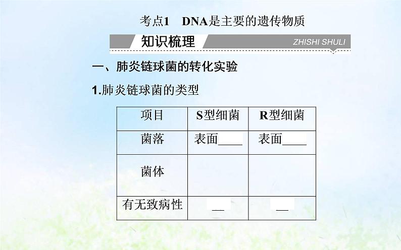 2022届新教材高考生物一轮复习专题七基因的本质课件第4页