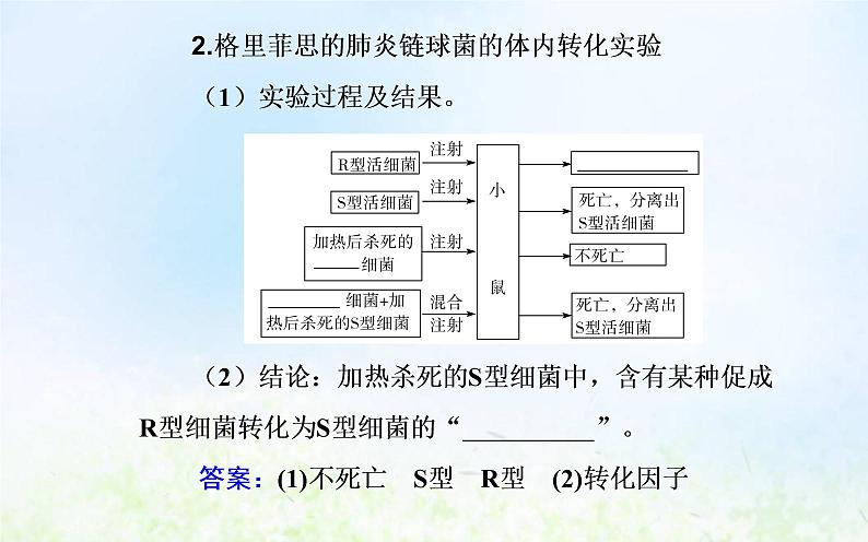 2022届新教材高考生物一轮复习专题七基因的本质课件第5页