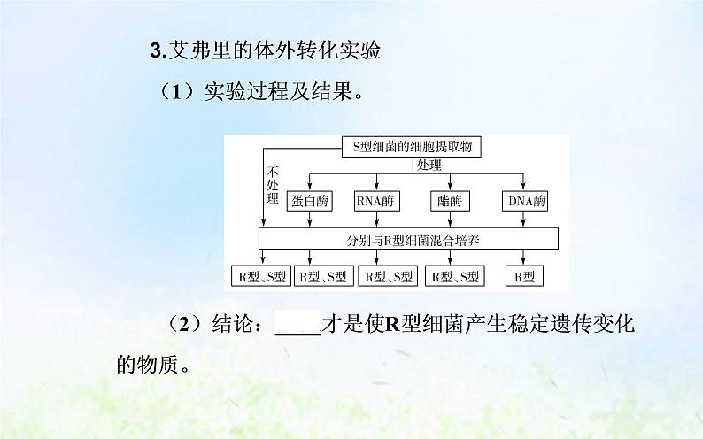 2022届新教材高考生物一轮复习专题七基因的本质课件第6页