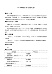 浙科版 (2019)必修1《分子与细胞》第一节 ATP是细胞内的“能量通货”教案