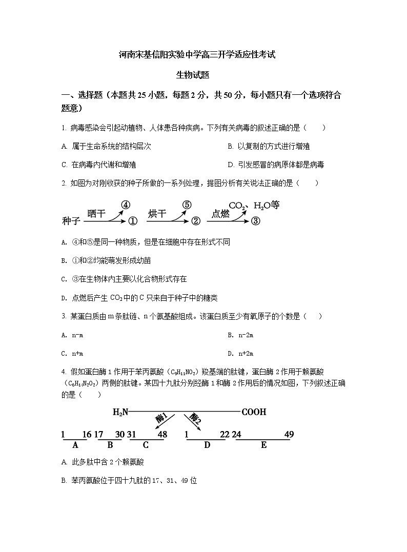 河南省宋基信阳实验中学2022届高三上学期9月开学摸底考试生物试题+Word版含答案第1页