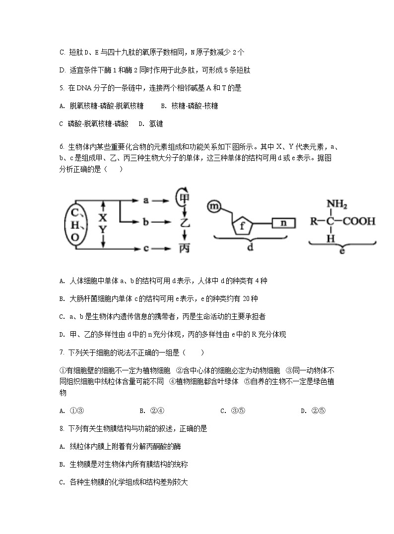 河南省宋基信阳实验中学2022届高三上学期9月开学摸底考试生物试题+Word版含答案第2页