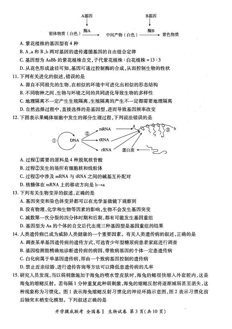 山西省大同市灵丘县2022届高三上学期8月开学摸底联考生物试题（全国卷I）+扫描版含答案03