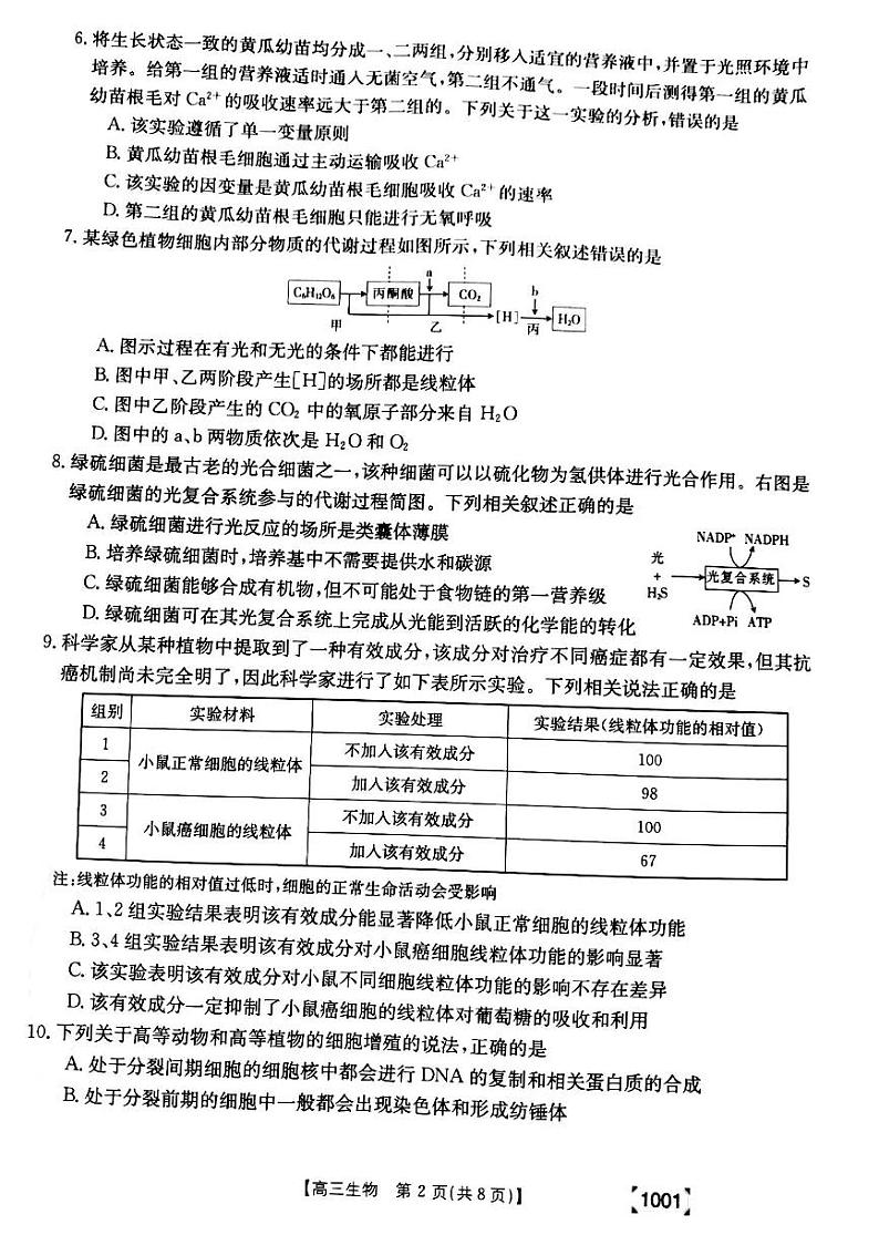 甘肃省靖远县2021-2022学年高三上学期开学考试生物试题第2页