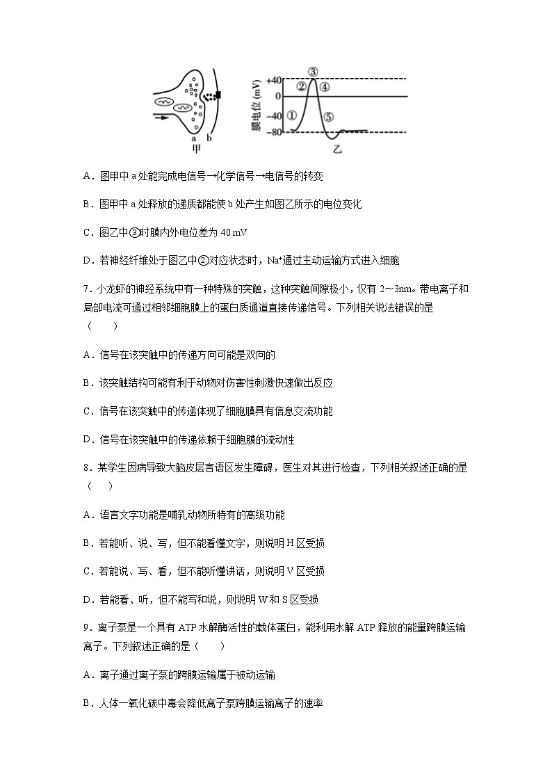 河北省正定中学2021届高三上学期第二次半月考生物试题+Word版含答案第3页