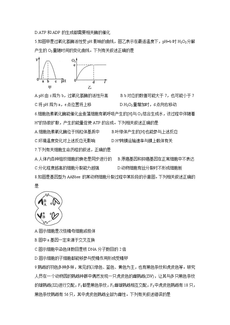 河南省部分名校2022届高三上学期8月开学考巩固卷+生物+Word版含答案02