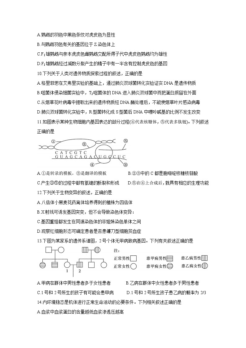 河南省部分名校2022届高三上学期8月开学考巩固卷+生物+Word版含答案03
