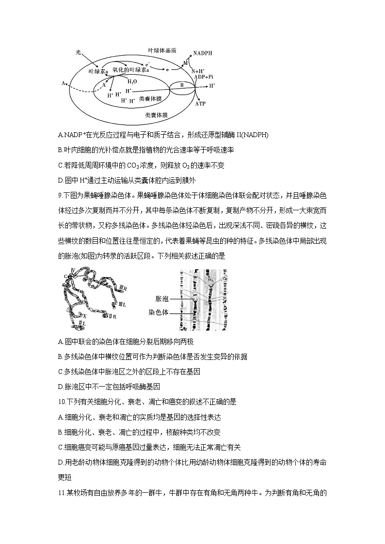 安徽省江淮十校2022届高三上学期第一次联考+生物+Word版含答案练习题03