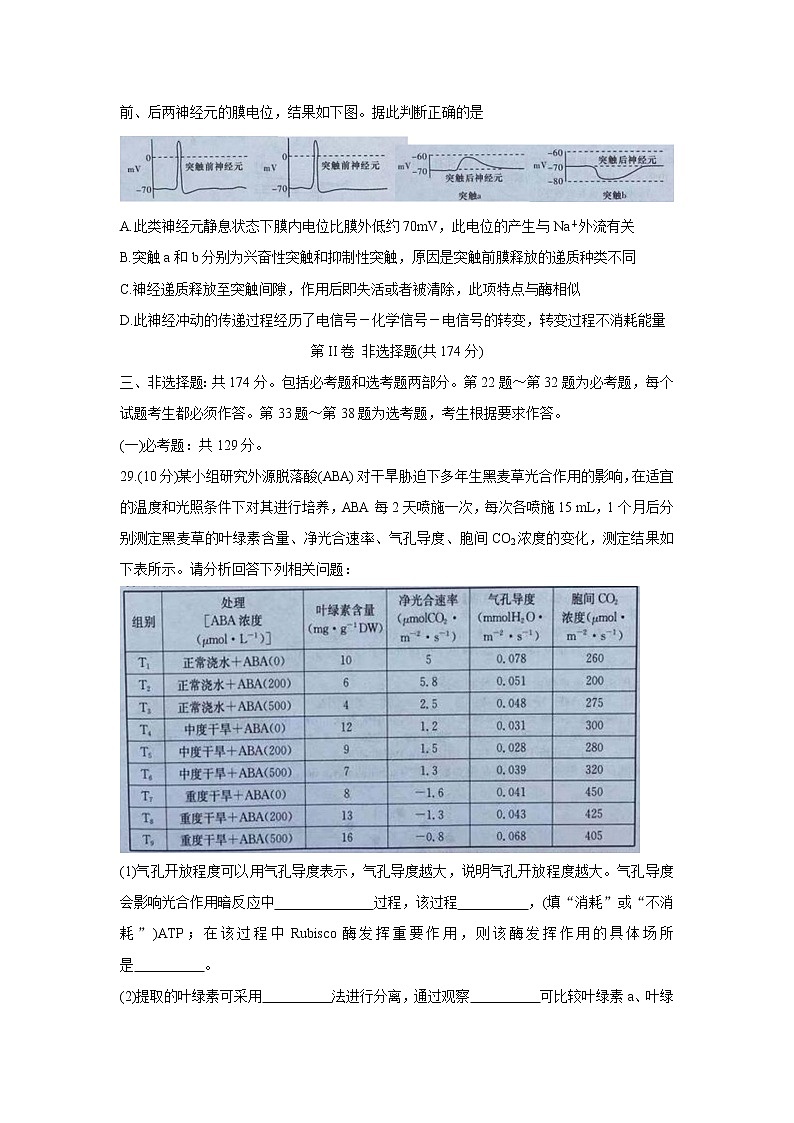 广西名校大联考2022届高三上学期第一次大联考（入学摸底考试）+生物（全国卷）+Word版含答案03