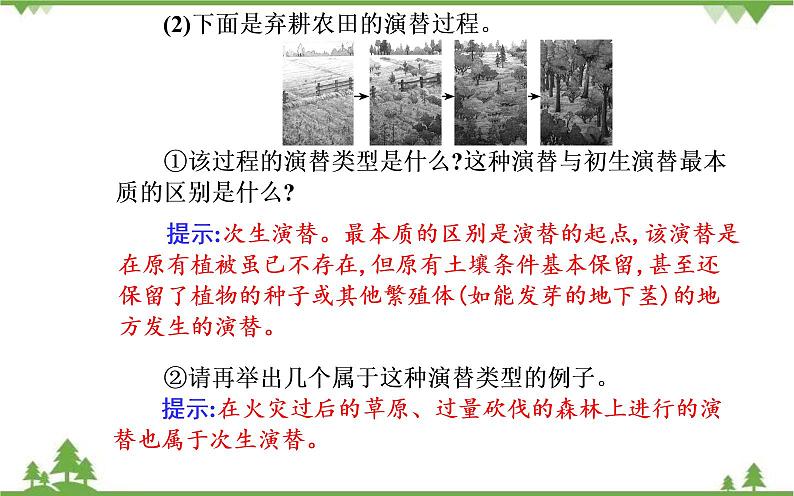 2021秋人教版生物选择性必修2课件：第2章+第3节+群落的演替第6页