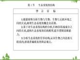 生态系统的结构PPT课件免费下载