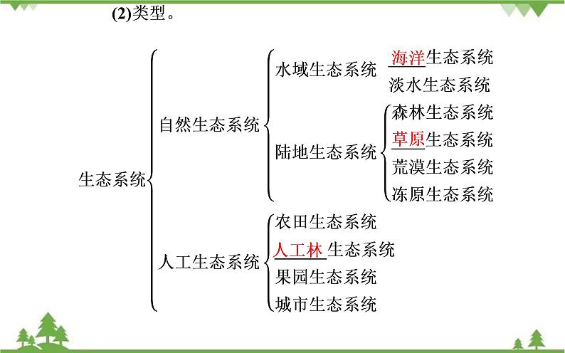 生态系统的结构PPT课件免费下载04