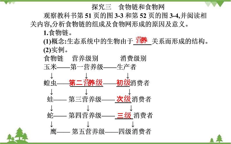 生态系统的结构PPT课件免费下载07