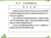 生态系统的能量流动PPT课件免费下载