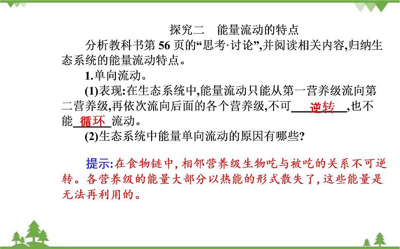 生态系统的能量流动PPT课件免费下载05