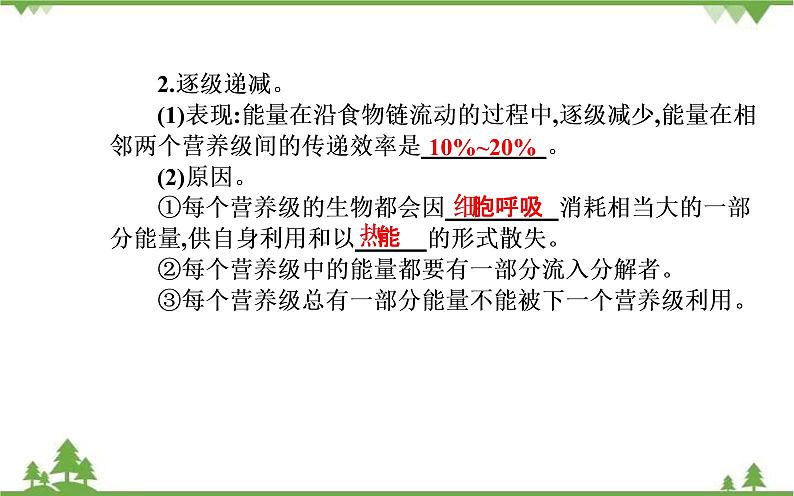 生态系统的能量流动PPT课件免费下载06